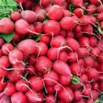 10 Health Benefits of Radishes and 5 Delicious Recipes