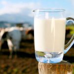 The Safety and Dangers of Raw, Unprocessed, Unpasteurized Milk