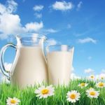 11 Amazing Health Benefits of Raw Goat Milk