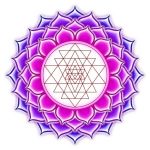 The Secret Truth of Sacred Geometry