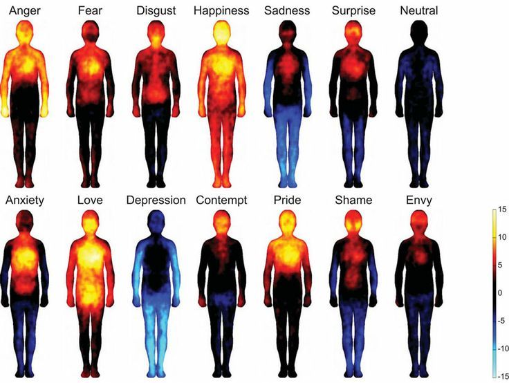 Body emotional map