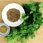 11 Health Benefits Of Coriander You Must Know About!