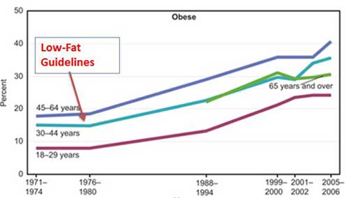 obese-chart