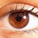 The Secrets of Eye Movement