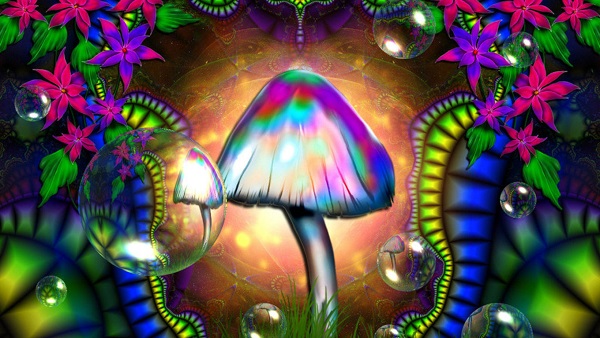 magic_mushroom