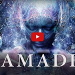 The Samadhi Film: A Leap into The Unknown