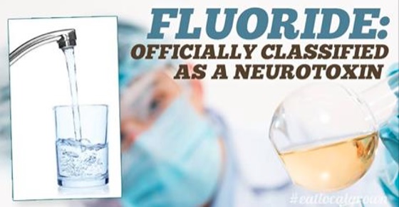 Fluoride neurotoxin