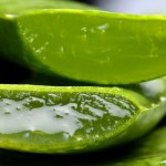 The Amazing Health Benefits of Aloe Vera Juice