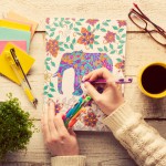 The 6 Awesome Benefits of Coloring Books for Adults