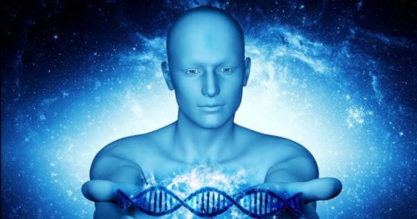 There may be a link between the meridians and energy and information relayed by DNA.
