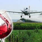 Glyphosate found in all California Wines Tested