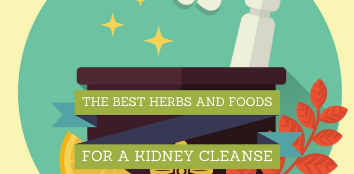 kidney cleanse
