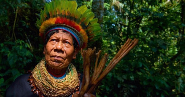 Ayahuasca Shaman in the Amazon