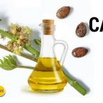 Castor Oil Benefits: 7 Powerful Home Remedies