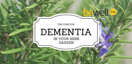 cure for dementia