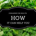 Eating Coriander for Health: 10 Powerful Ways How It Helps You