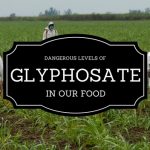 There’s Copious Amounts of Glyphosate in Our Foods!