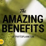 The Amazing Benefits of Phytoplankton