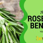 Discover Amazing Rosemary Benefits for Your Memory and Brain