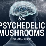 How Psychedelic Mushrooms Heal Mental Illness