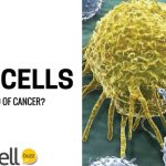 Can Cancer Be Cured By Engineered T-Cells?
