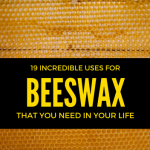 19 Incredible Beeswax Uses for Everyday Life