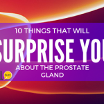 10 Surprising Functions of the Prostate Gland