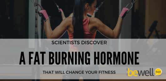 fat burning hormone