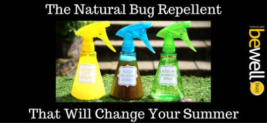 natural bug repellent