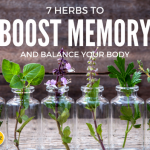 7 Herbs to Boost Memory and Balance Your Body Systems