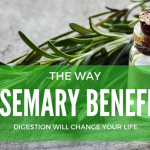 The Way Rosemary Benefits Digestion Will Change Your Life