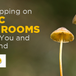 How Tripping on Magic Mushrooms Affects You and Your Mind