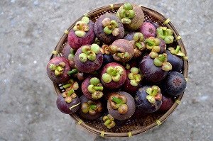 The Truth About Weight Loss Pills: Mangosteens