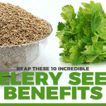 Top 10 Celery Seeds Health Benefits