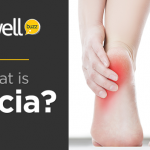 Understanding Fascia – Biological Fabric That Holds Us Together