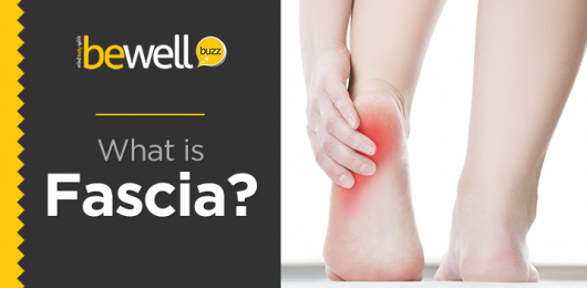 What is Fascia and How to Take Care of It