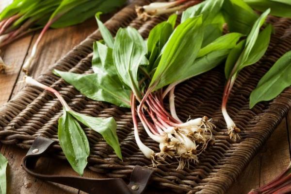 Spring Foods: Ramps