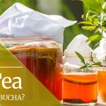 Jun Tea – The New Gut-Healing Drink That Is About To Be Everywhere