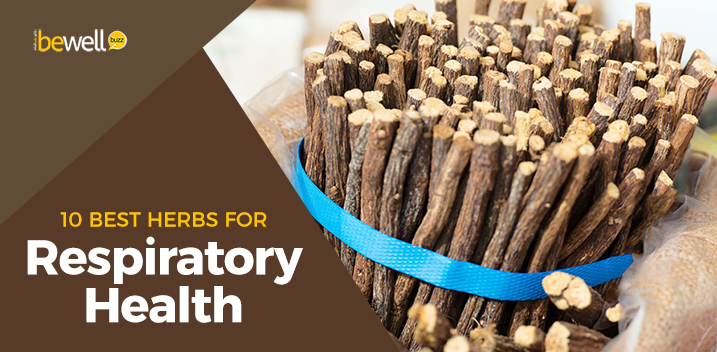 10 Best Herbs for Respiratory Health & How They Help You