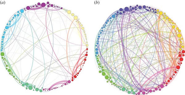 Comparing the brain’s communication pathways during (a) a regular state, and (b) the psychedelic state.