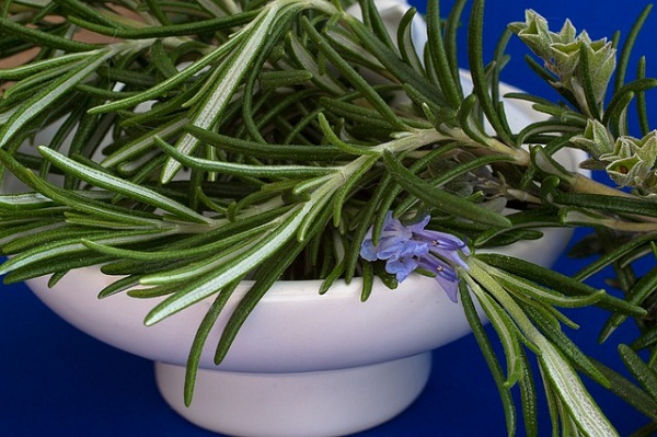 Rosemary essential oil stimulates hair growth when applied to the scalp.