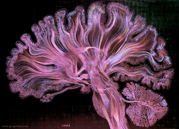 The unique ways that psychedelics interact with the brain.