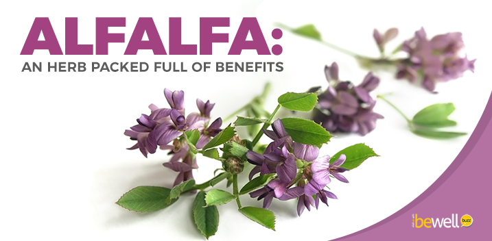 The Surprising Health Benefits of Alfalfa