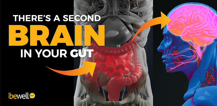 The Importance of The Gut-Brain Connection