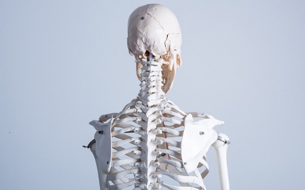 CBD can help strengthen bones as well as accelerate the healing of fractures.