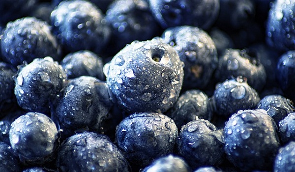 Blueberries contain one of the highest concentrations of antioxidants of any food.