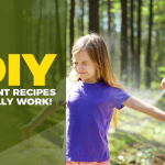 How to Make Natural Bug Repellents at Home