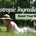 9 Nootropic Ingredients That You Must Have to Boost Your Brain Power