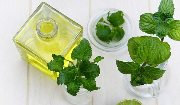 Its refreshing smell, cooling sensation, and relaxing effect on the body make peppermint oil a must in every household.