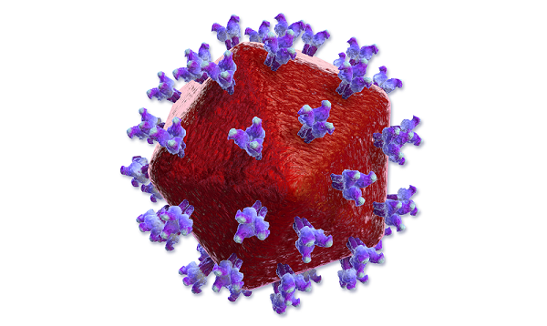 HIV is a virus that cripples the immune system by destroying white blood cells.